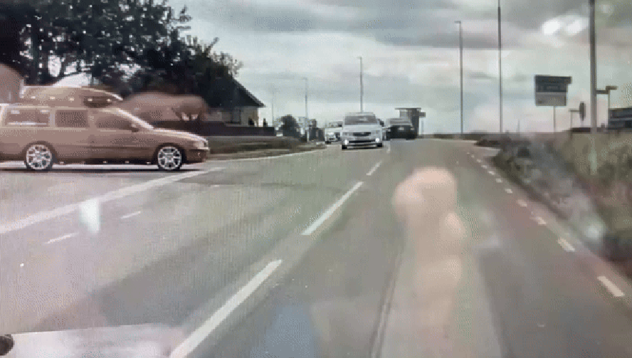Tesla Autopilot