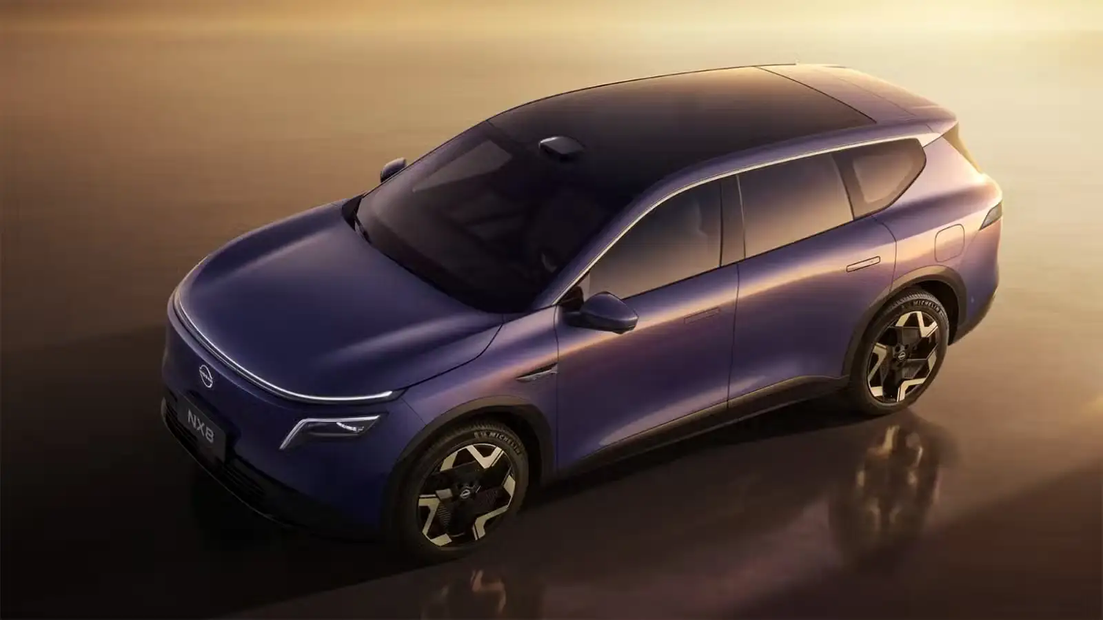 Nisan NX8 - 3